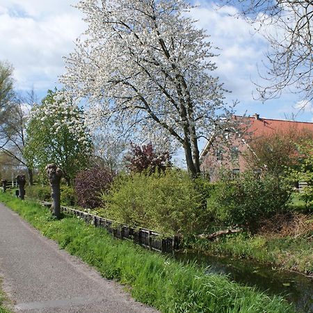 Gastenverblijf De Natureluur Noorden Luaran gambar