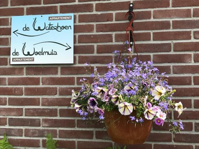 Gastenverblijf De Natureluur Noorden Luaran gambar