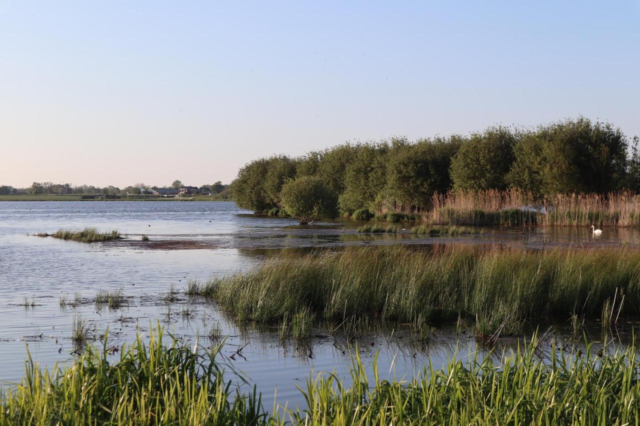 Gastenverblijf De Natureluur Noorden Luaran gambar
