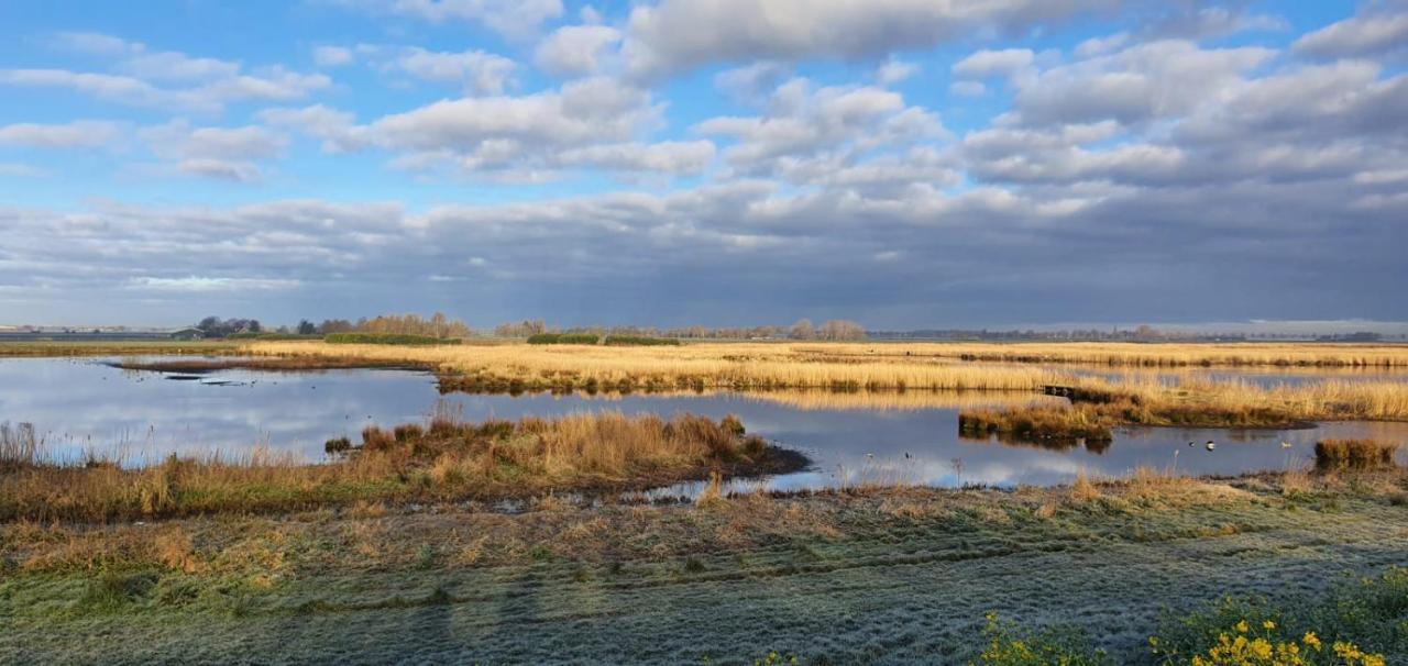 Gastenverblijf De Natureluur Noorden Luaran gambar