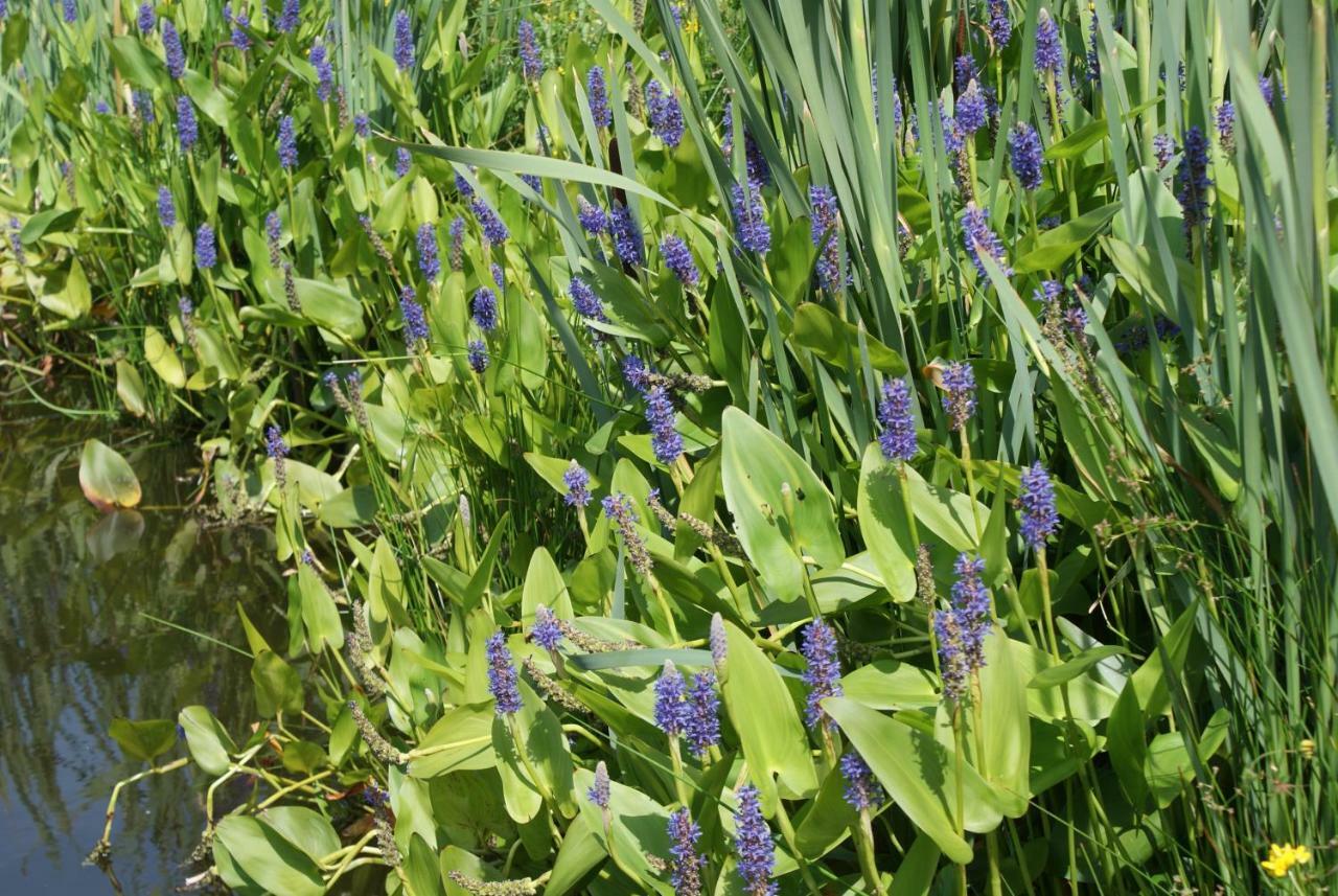 Gastenverblijf De Natureluur Noorden Luaran gambar